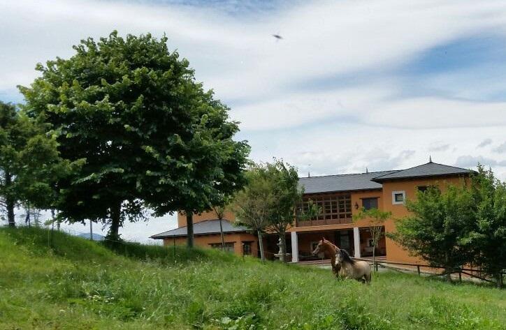 Hotel Rural Yeguada Albeitar Villayón Esterno foto